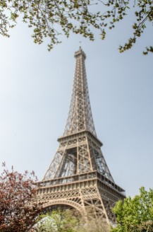 Eiffel Tower from Champ de Mars garden